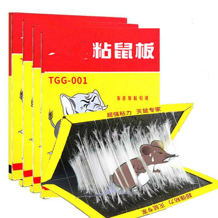 地上两排粘鼠板老鼠竟然跳过去了!