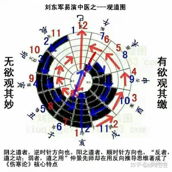 伤寒六经对人体层次的划分?