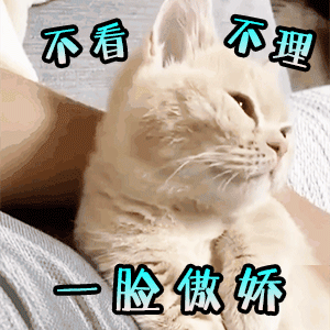 有女朋友的人肯定遇到过