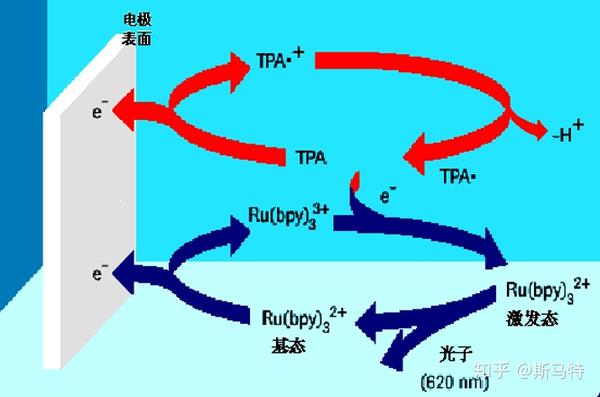 电化学发光剂反应原理