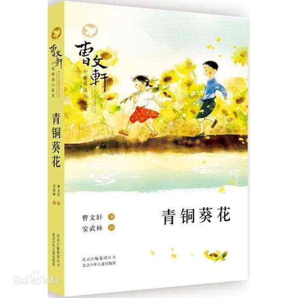 青铜葵花主要内容 zhuanlan.zhihu.com