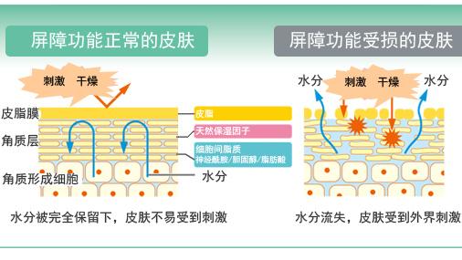 皮肤屏障受损怎么办