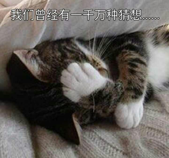 onecasualsong,businesscasual 如何评价贝贝新歌onecasualsong