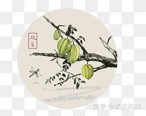 24节气处暑杨桃水墨画