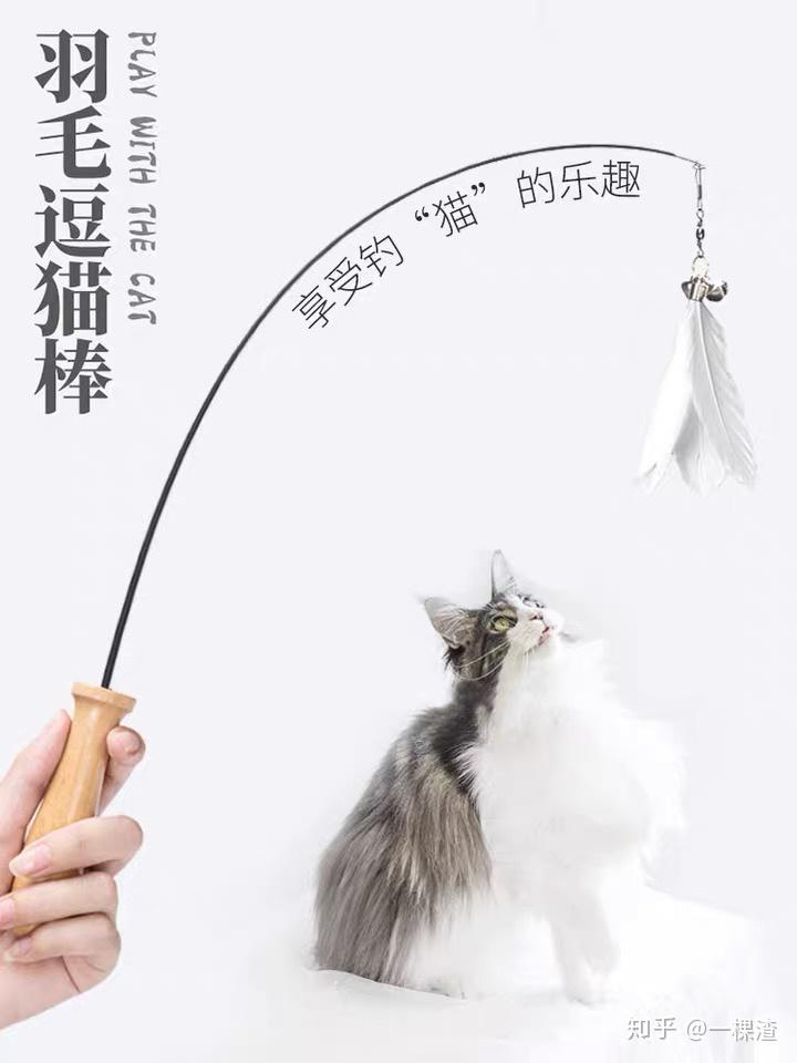 宠物用品测评1逗猫棒