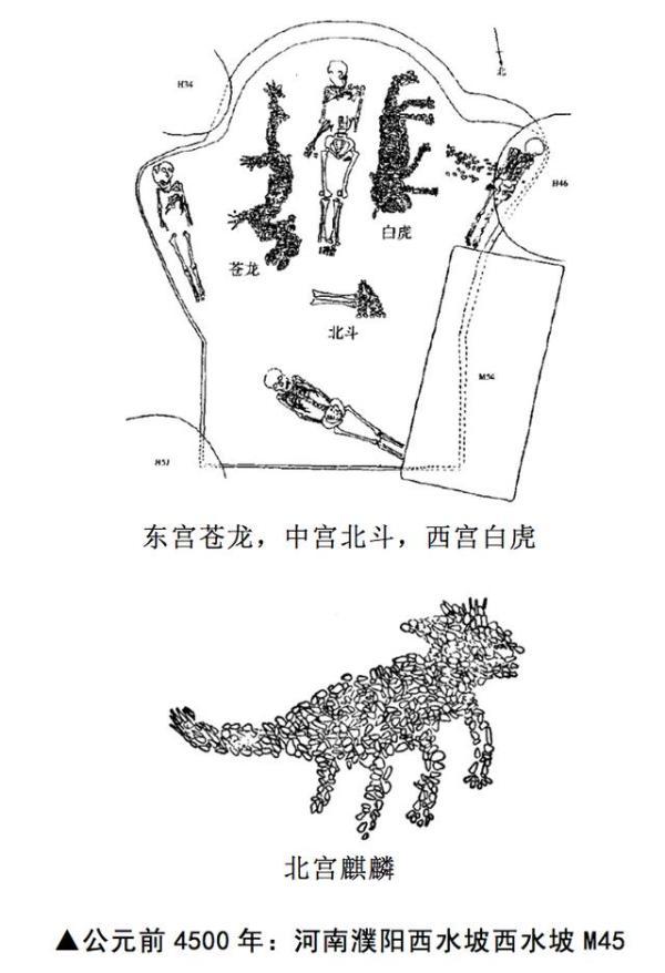 6500年前的星空图濮阳西水坡蚌塑龙虎图中华第一龙