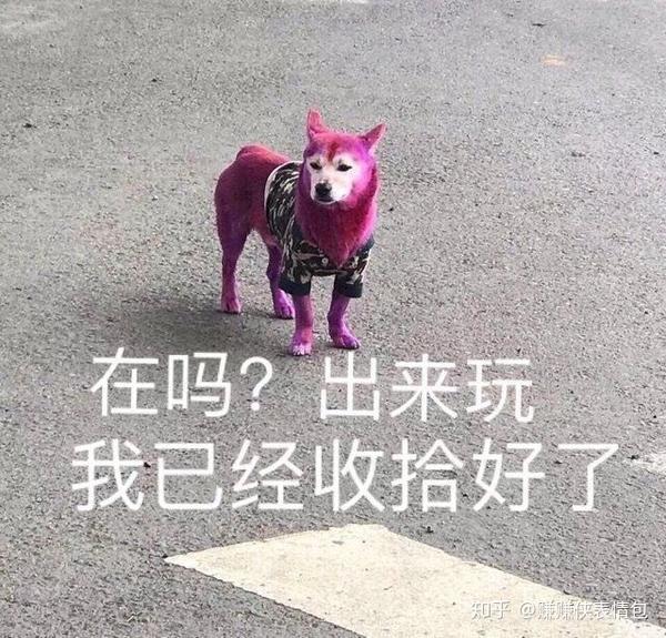 表情包:怼人你也不赖