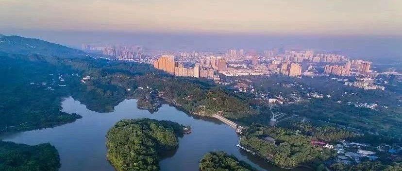 助力碳中和森林作用大我市森林覆盖率达402