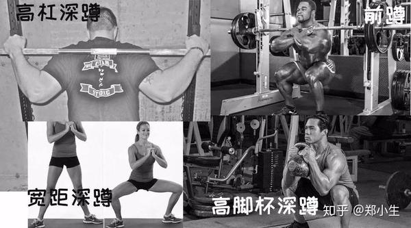 3. 宽距深蹲.