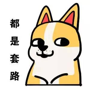 大家纷纷表示羡慕嫉妒恨,毕竟它是一只去过底特律的狗!