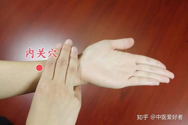 内关穴位图