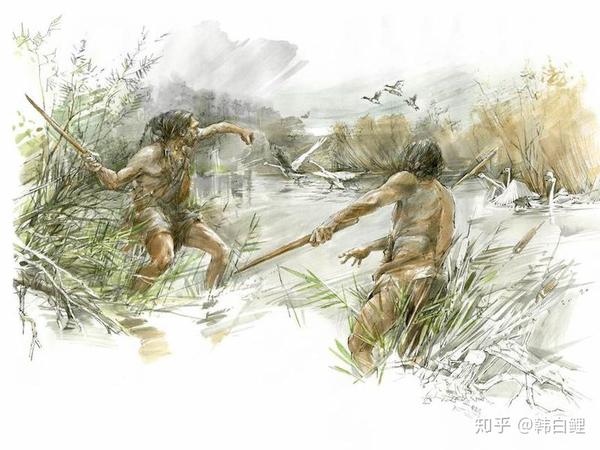 古人类用飞旋镖狩猎水禽   图源benoit clarys (university of