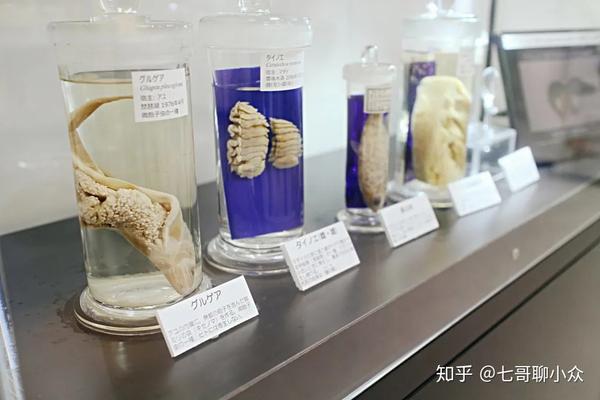 东京目黑寄生虫学博物馆