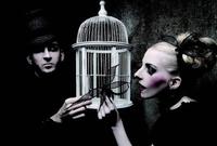 美国式哥特 zhuanlan.zhihu.com