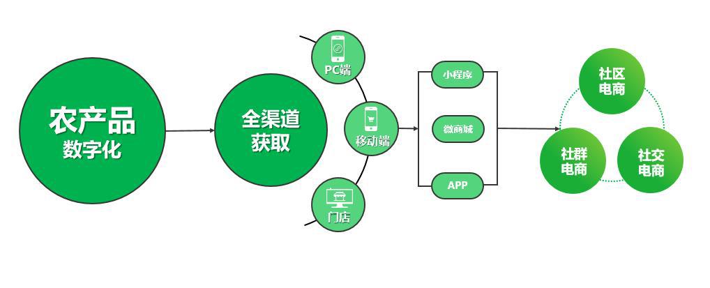 数字化创新营销认知变革农产品销售模式