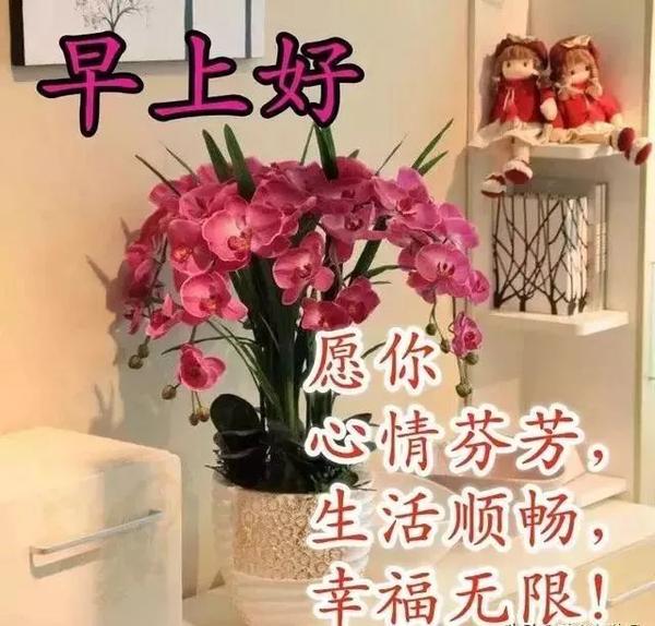 周一炎热天气早上好温馨祝福文字和图片