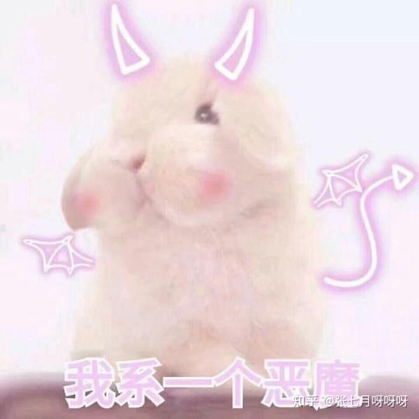ps,有个大事要商量一下,可以留一个爪印mua?乁( ˙ ω˙乁)