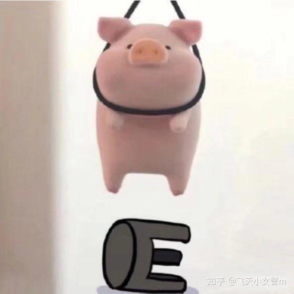 有什麼猪或关於猪的表情包