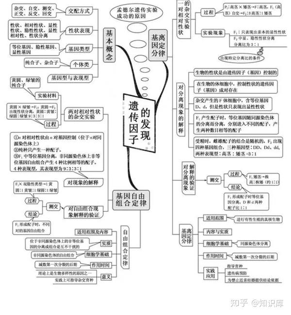 高中生物思维导图来袭,同学们快快收藏分享!