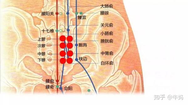 妙手莲华冬天屁股冷女人的臀部是万病之源