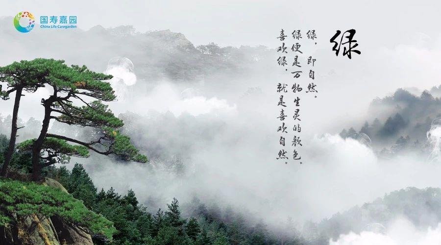 「释读解字」魅力汉字——