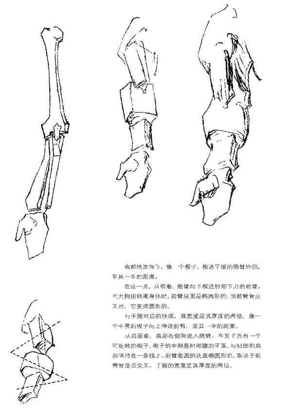 这里说到肩部是个楔子.大臂向下楔入手肘.