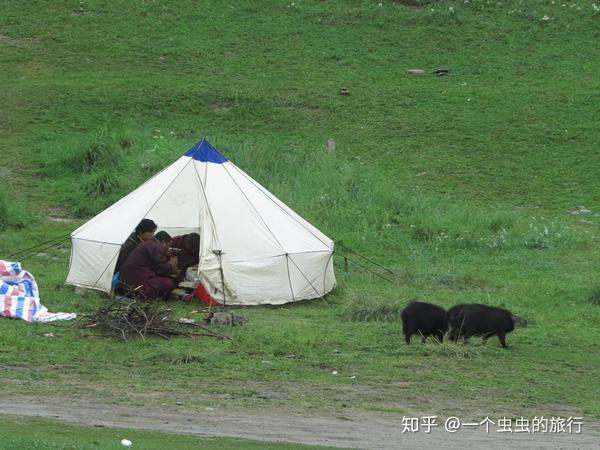 牧民给人的感觉就是帐篷和游牧.
