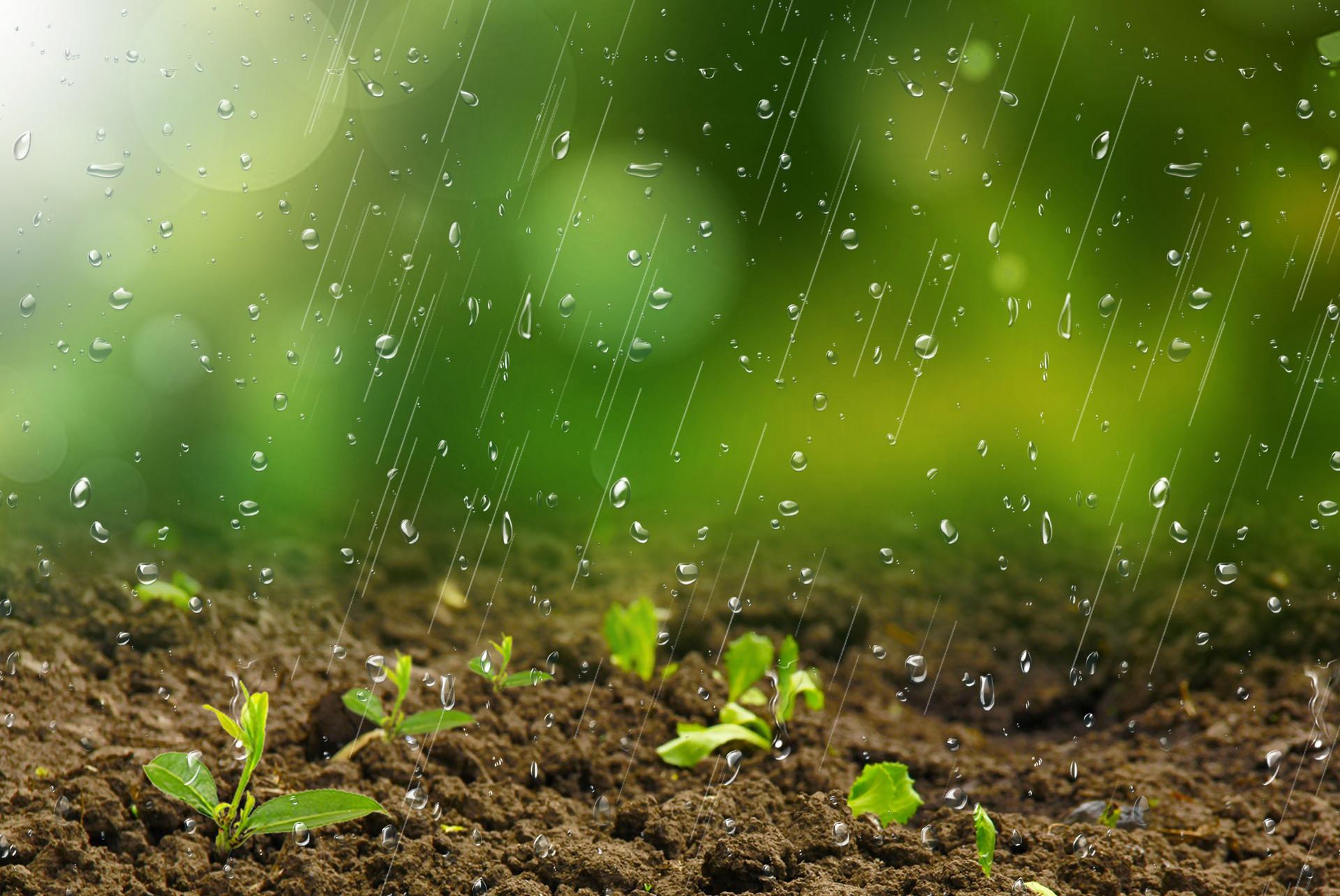 当牛年首个工作日撞上雨水节气