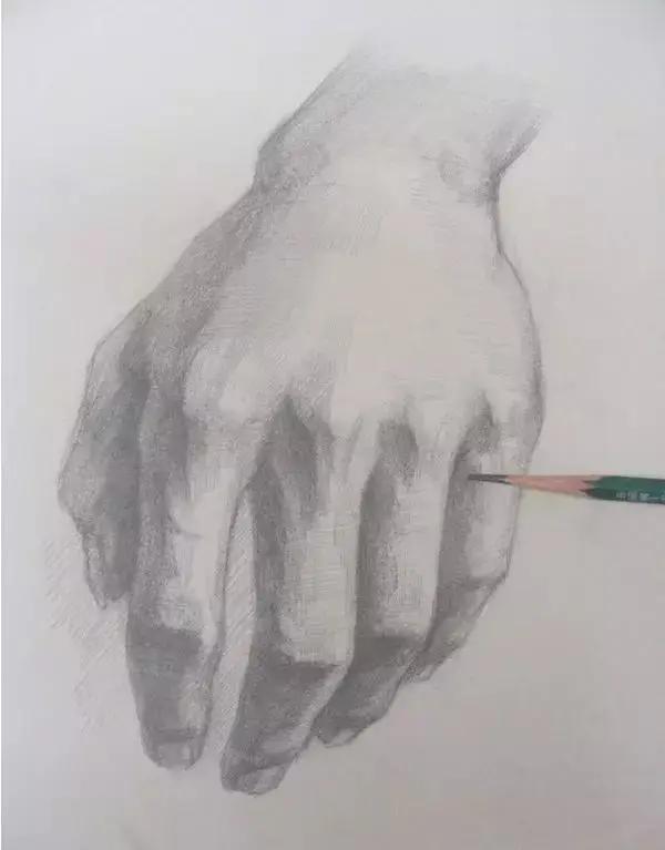 素描入门 初学者素描手的画法步骤讲解