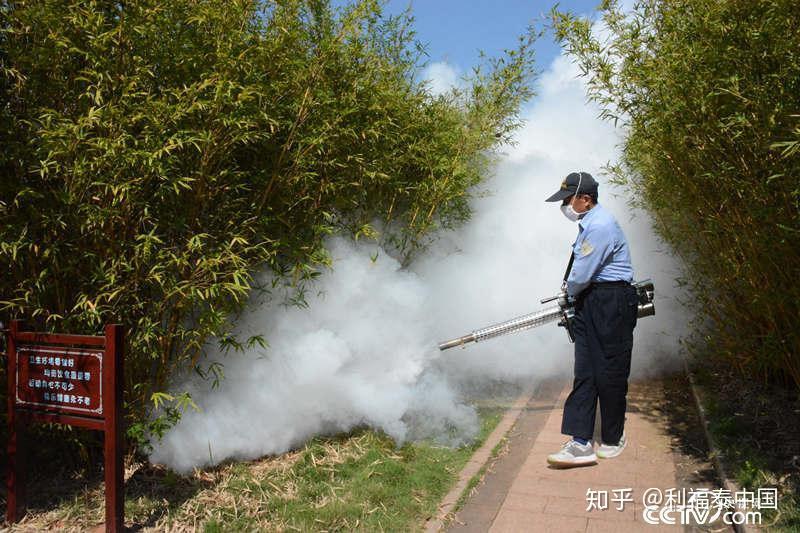 武汉虫害消杀我们是认真的专注专业放心服务