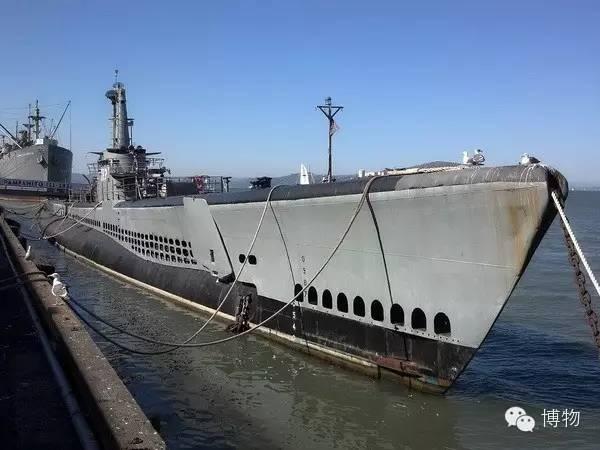 大青花鱼,射水鱼,海鲫,刺尾鱼…这些鱼类的名字,借潜艇之身而永载