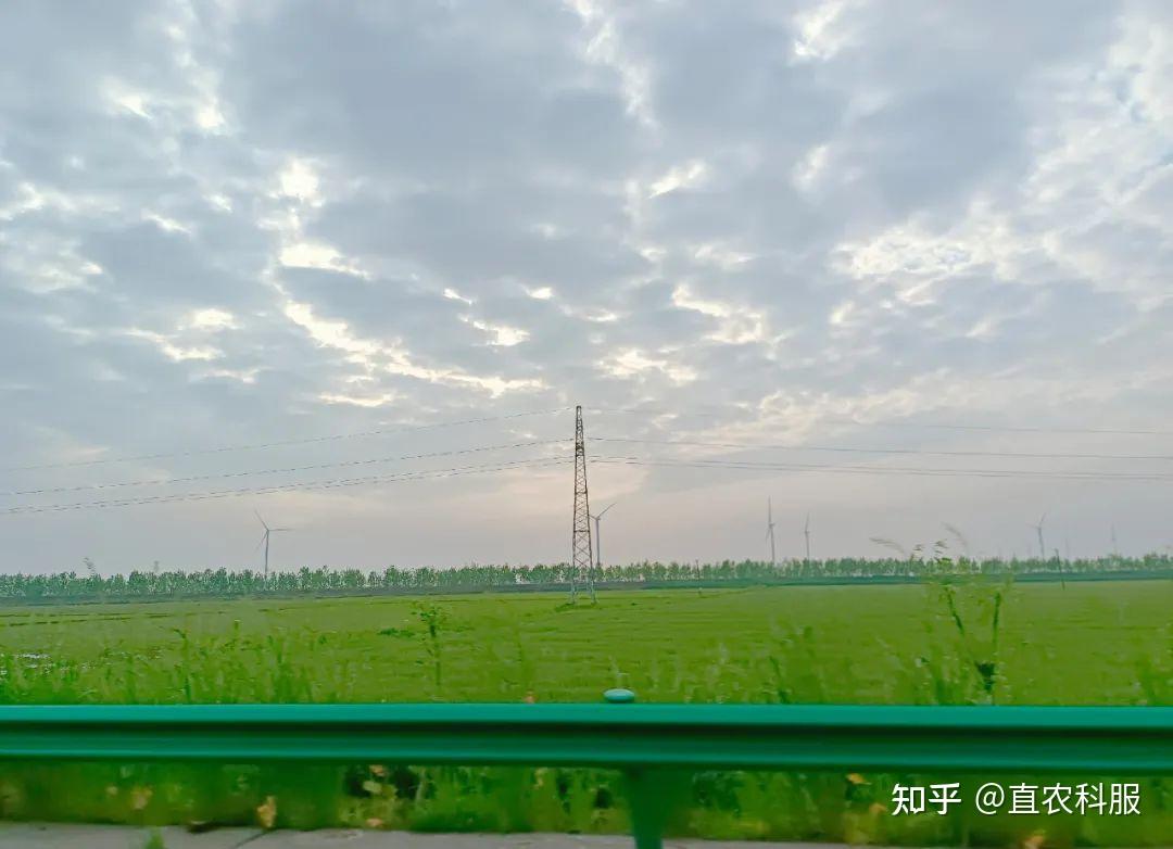 会议回顾 | 全面助力和支撑华阳河农场发展