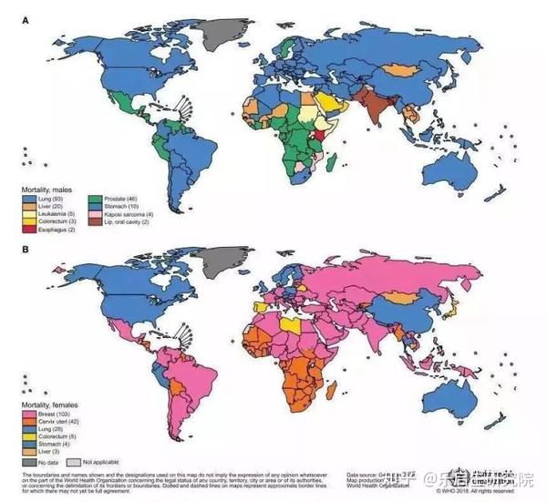 6万例,占据了癌症发病,死亡人数全球双榜首.