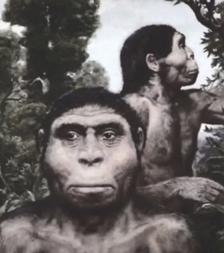 有没有最近很火的18000年前猿人的搞笑文案
