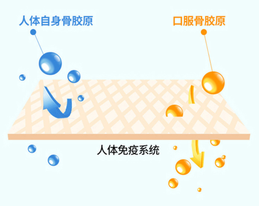 骨胶原是什么作用有哪些看完本文你就知道