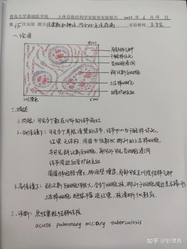 病理学实验报告