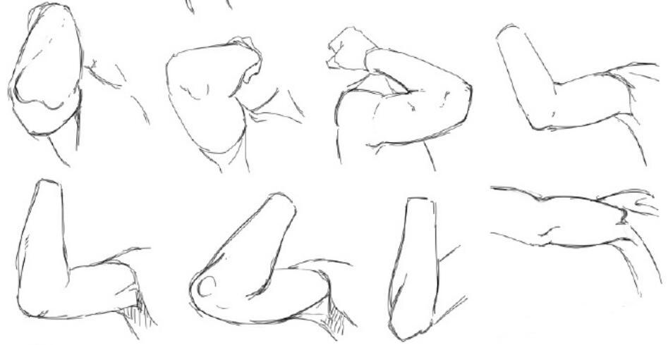 【绘画教程】绘画新手快速掌握关节肘部的画法!你所不