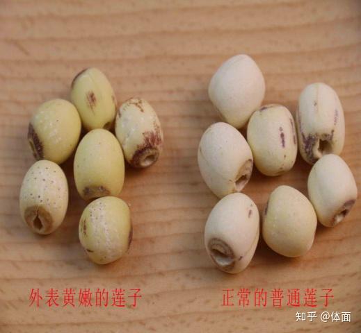 这样的莲子好不好?