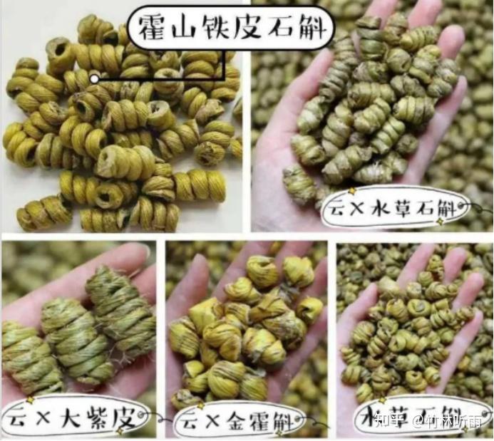 茸甄堂的石斛怎么样石斛泡水喝有哪些功效