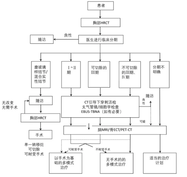 肺癌疑似患者诊断流程图(原文翻译版),来源:journal of thoracic