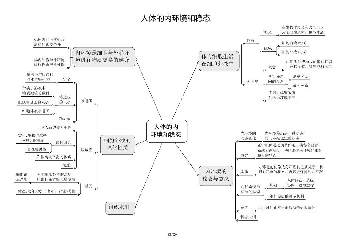 高清版高中新课标生物思维导图