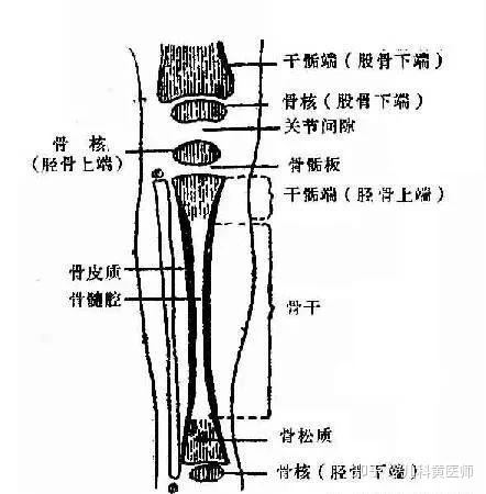 16岁了,还能长高吗?