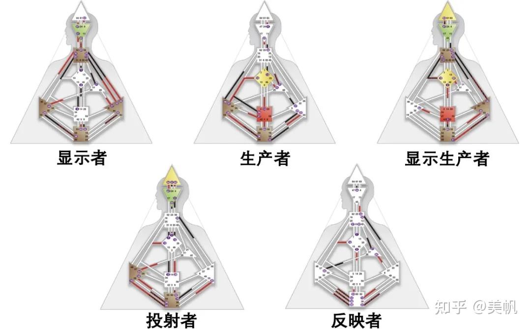 如何看懂自己的人类图