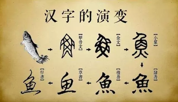 简化字伴随着汉字的产生而发展,已有三千多年的历史.