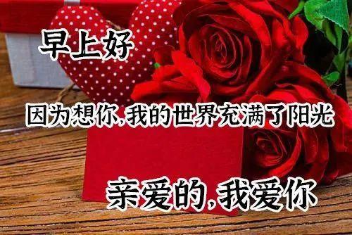 8月28日秋天到了早上好动图表情包天气变凉的早上好图片大全带字