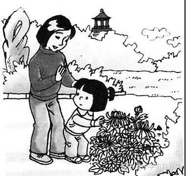 小学二年级语文看图写话练习题,33篇带范文