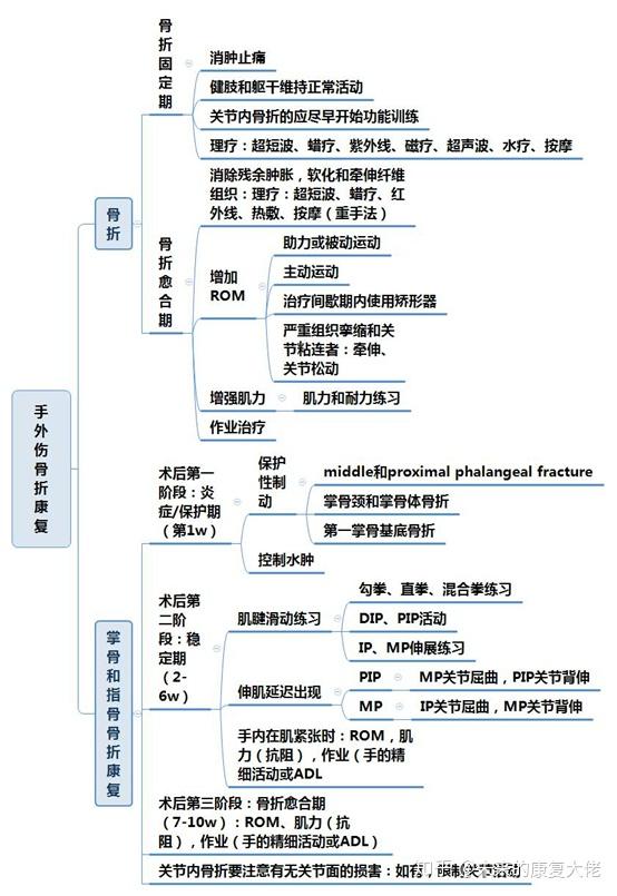 康复考研肌骨思维导图2