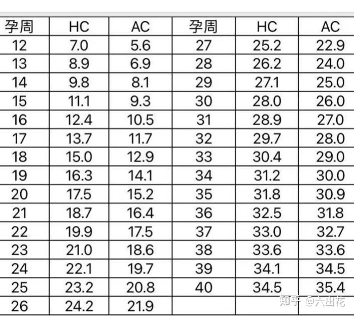 怀孕31 周胎儿发育有哪些标准?