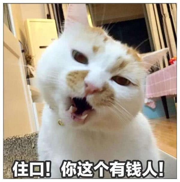 哎,有钱人的生活总是这么朴实无华且枯燥.