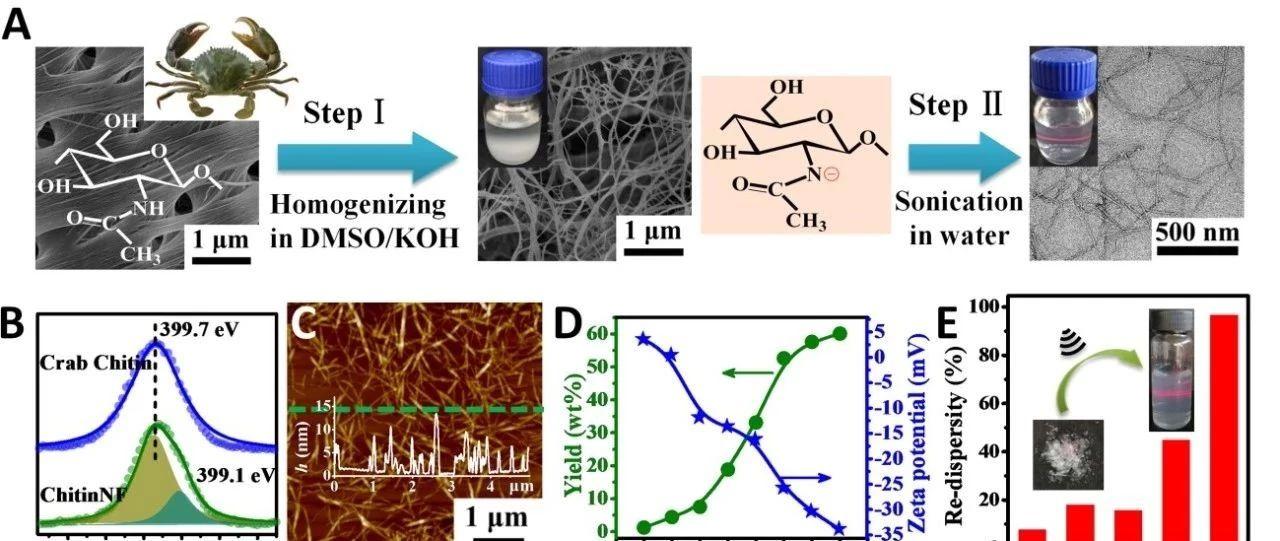 中科院青能所李朝旭团队甲壳素纳米纤维的非衍生化剥离及应用最新进展